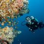 athuruga-maldives-eliwor6